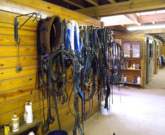 Harness Rack | MATHEOS FARM Race Horse Training and Stabling 1181 Sandy ...